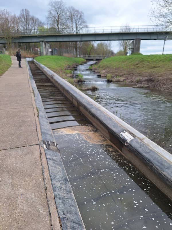 Fischtreppe - Image 1