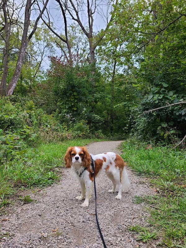 Poerio Park West - Image 2