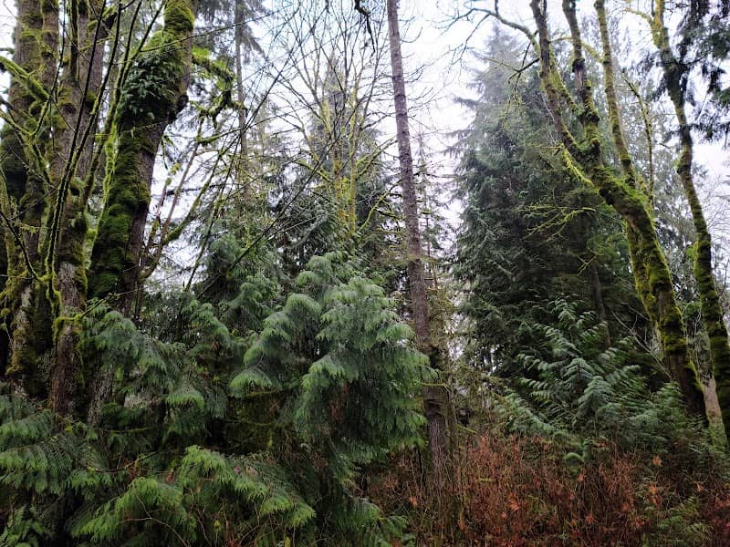 Native Growth Protection Area - Image 2