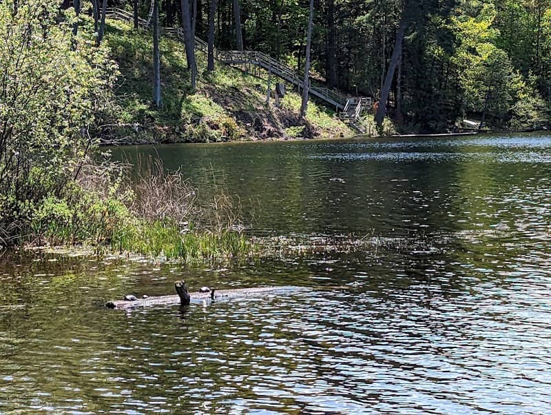 Herendeene Lake - Image 1