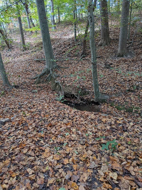 Walking Trail - Image 1