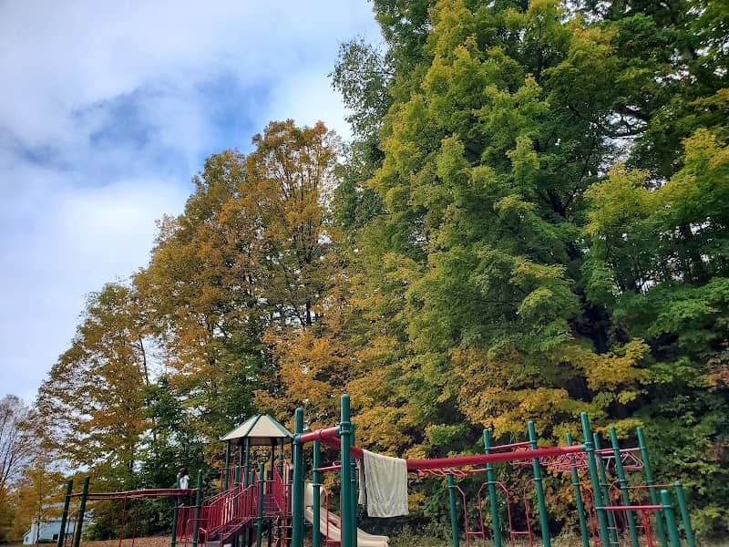 Harold Curtiss Recreation Park - Image 1