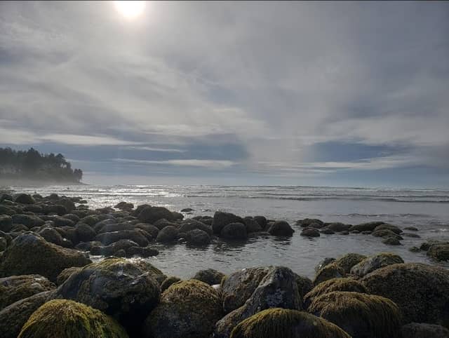 Seaside Cove - Image 2