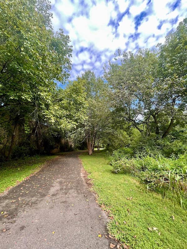 McDowell Creek Greenway - Image 2