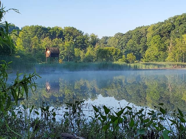 Strongsville Wildlife Area - Image 1