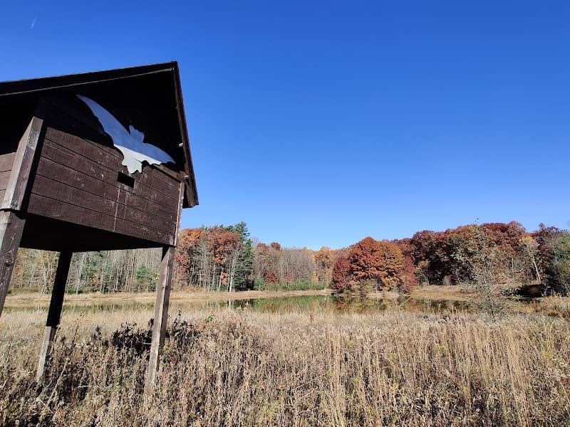 Strongsville Wildlife Area - Image 2