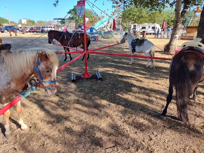 Castro Pony Ride - Image 1