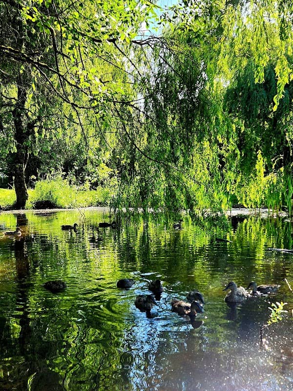 Florence Robison Park - Image 3