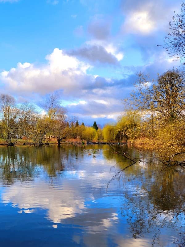 Florence Robison Park - Image 2