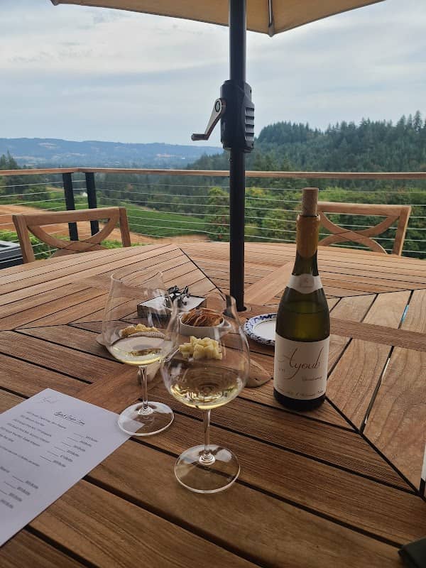 Ayoub Wines - Image 1