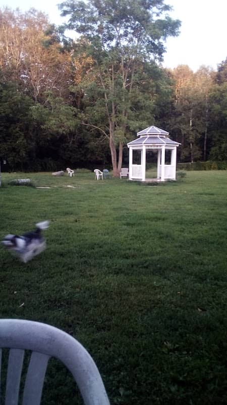 Robin's Garden & Dog Park - Image 2