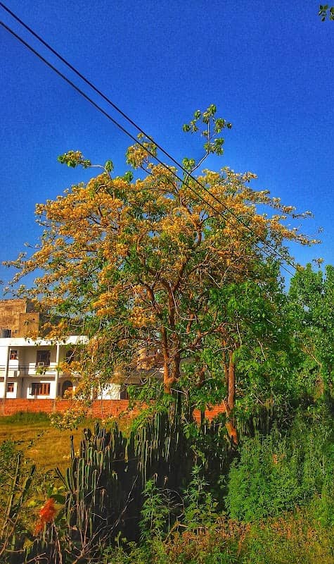 Radisson Enclave Park - Image 2