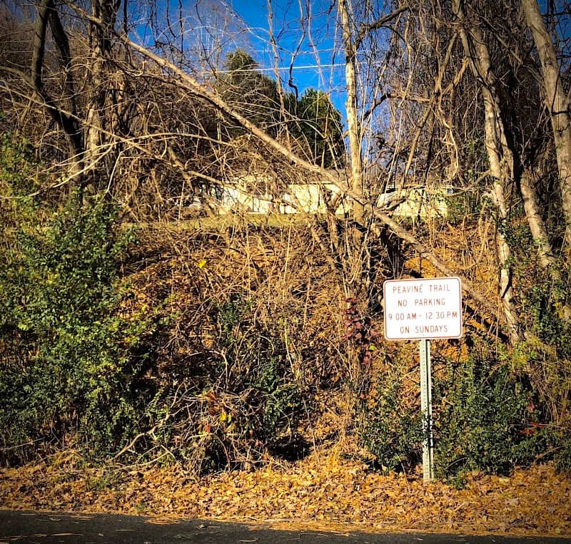 Peavine Trail - Image 2