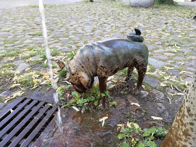 Waldmops am Brunnen/Dom - Image 2