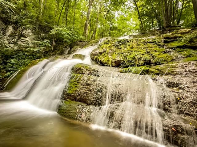 Falls Of Logan Creek - Image 1