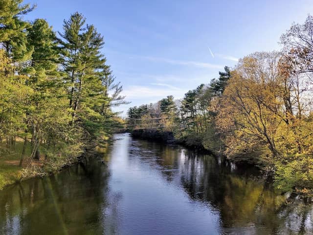 Lincoln Park - Image 1
