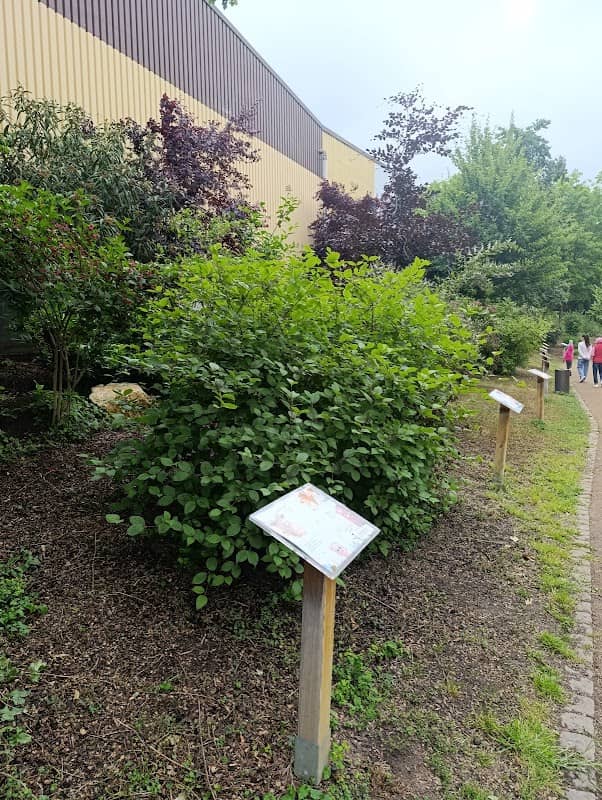 Bilderbuchpfad Gernsheim - Image 2