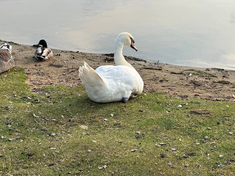 Sandy Beach - Strathclyde Park - Image 1