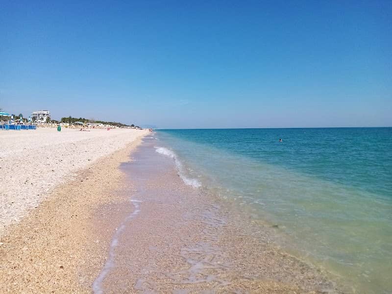 Pineta - Image 1