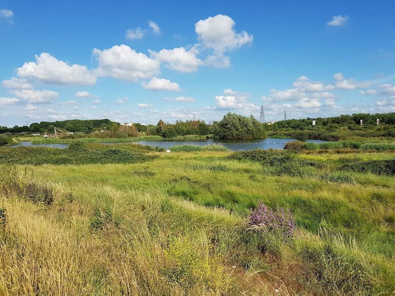 River Cray Confluence - Image 1