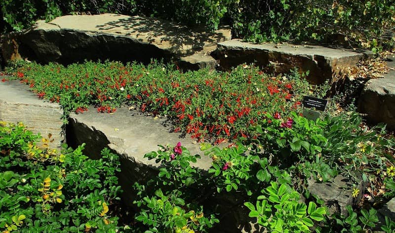 C-BT System Garden - Image 2