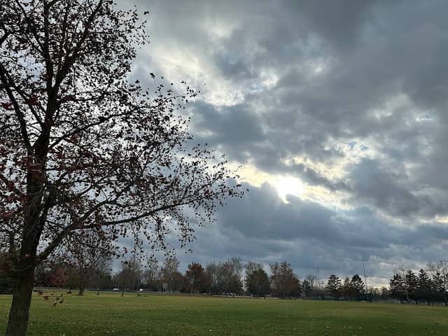 Moore Park - Image 1