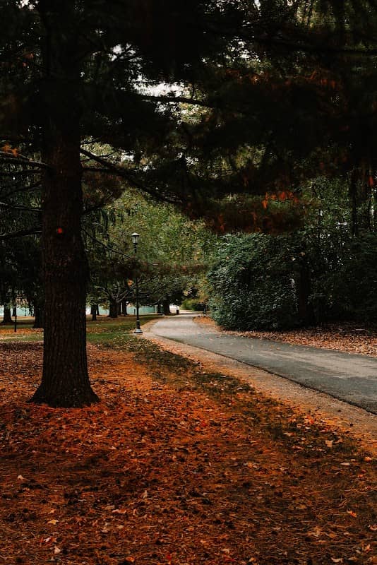 Moore Park - Image 2