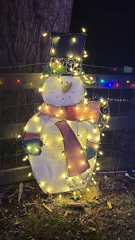 Longacre Family Christmas Lights - Image 2