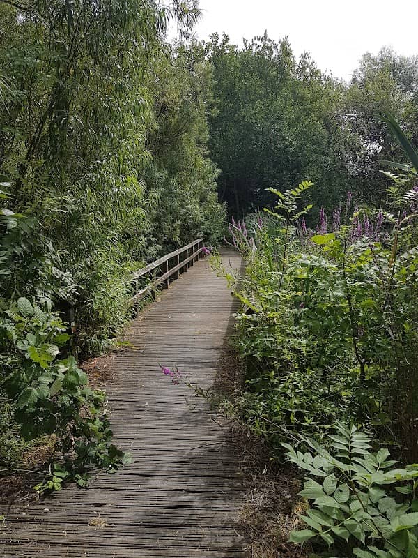 Davy Down Riverside Park - Image 2