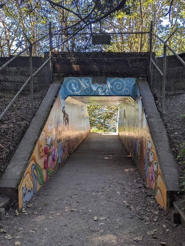 Henry Mural Tunnel - Image 1