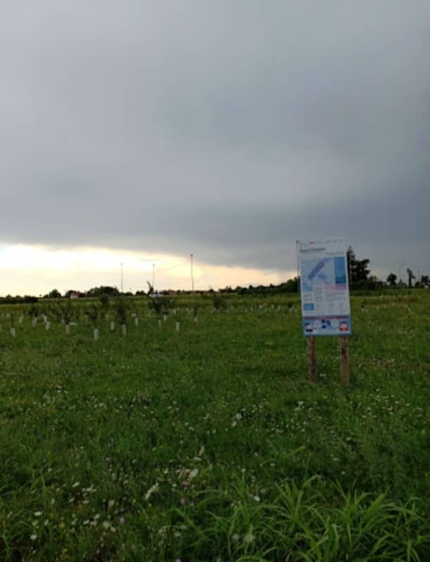 Bosco Triestina - Image 1