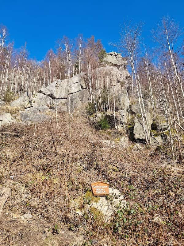 Großer Kurfürst - Image 1