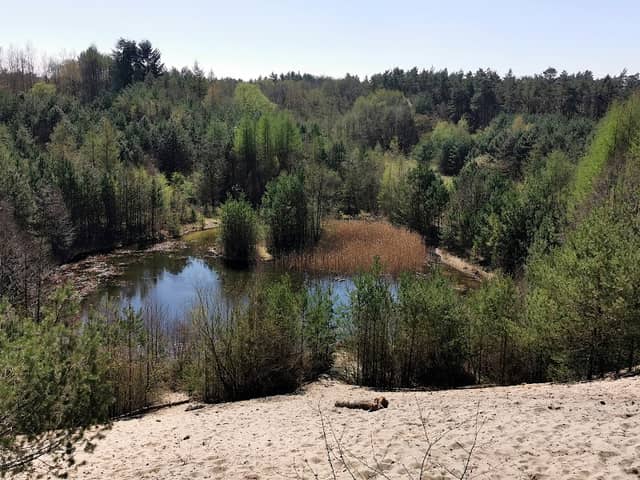 Recreation area Eibia / Lohheide - Image 1