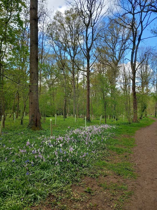 Evenley Wood Garden - Image 1
