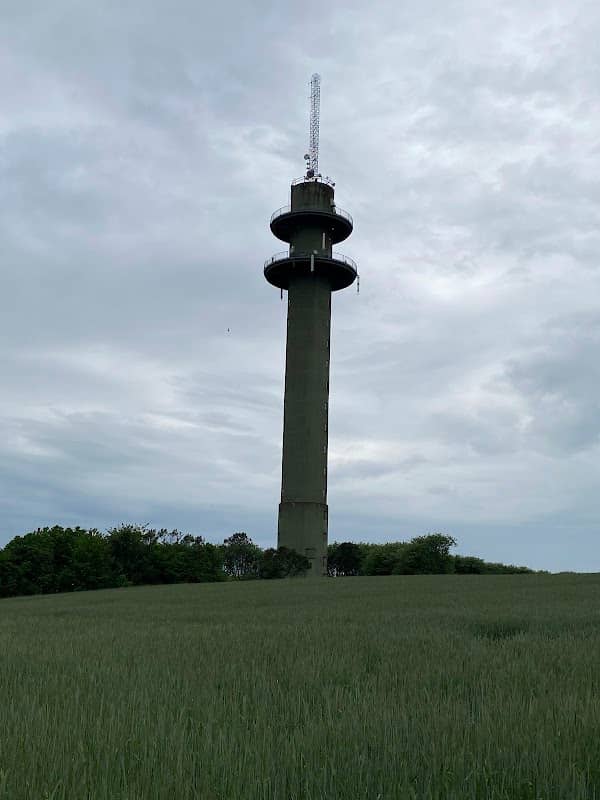Sorring Loddenhøj - Image 2