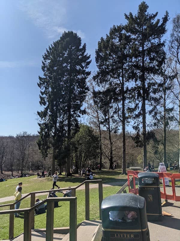 Lickey Hills Playground - Image 2