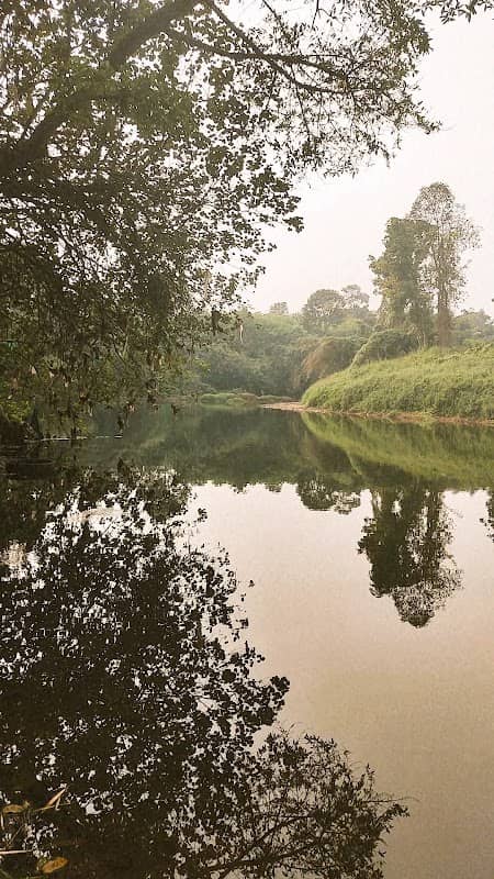 Koottanal Kadavu - Image 1
