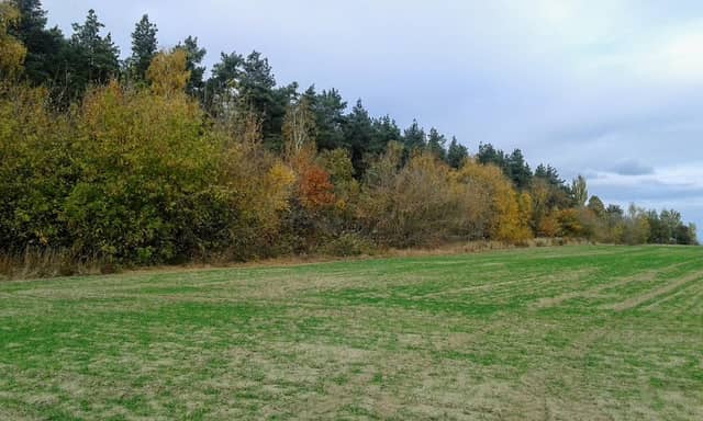 Nature Park - Image 3