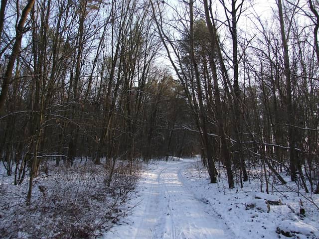Nature Park - Image 2
