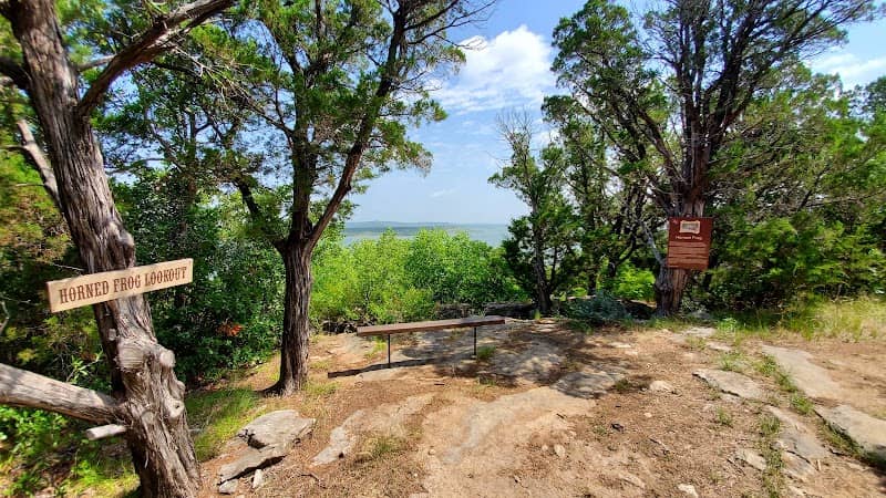 Horned Frog Lookout - Image 1