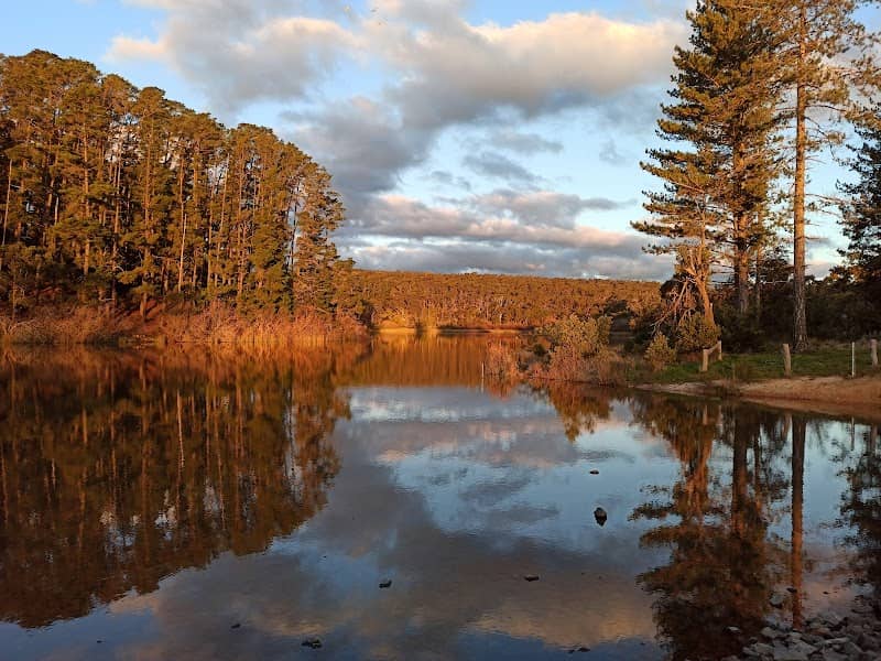 Creswick Regional Park (Parks Victoria) - Image 1