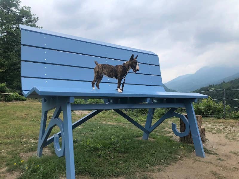 Big Bench #141 - Melle - Image 1