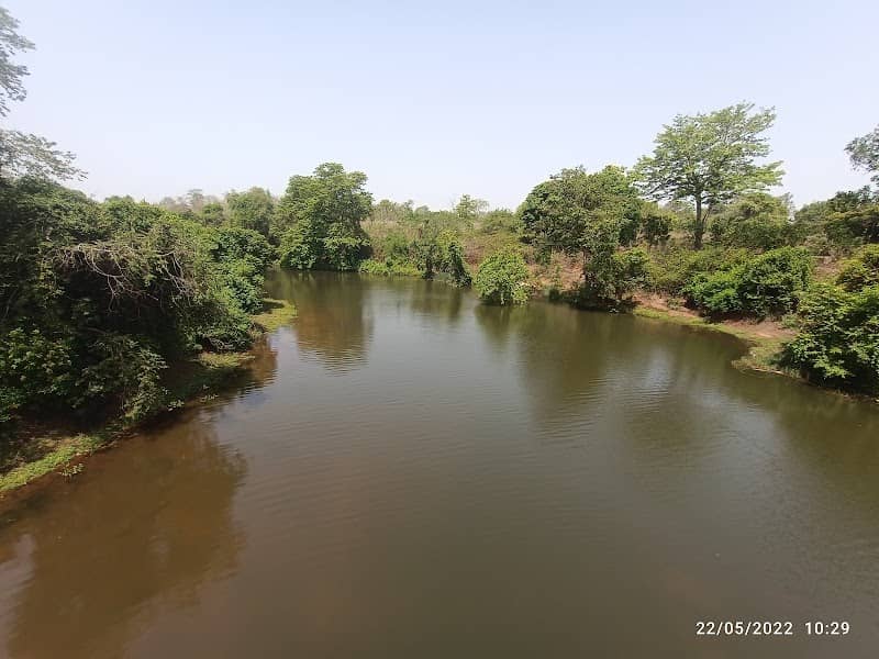 Danteshwari Temple Park - Image 1