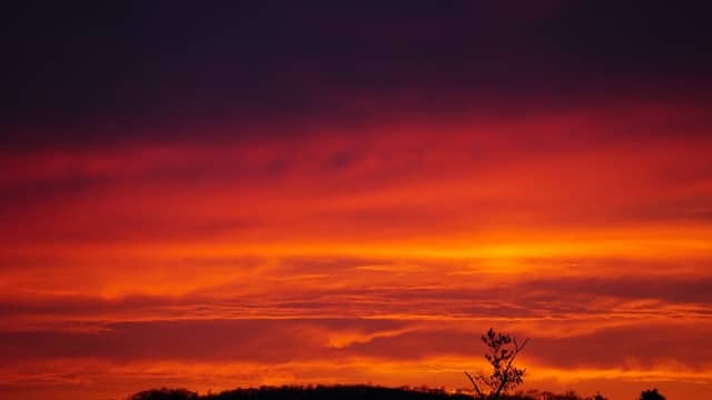 Walnut Hill Park - Image 1