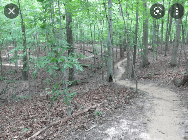 Pee Wee's Mountain Bike Trail - Image 1