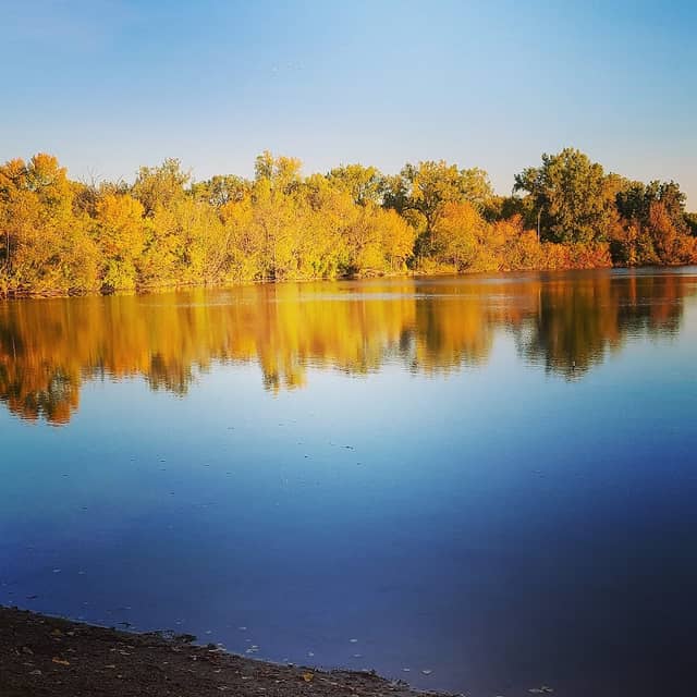 Lester Milligan Park - Image 2