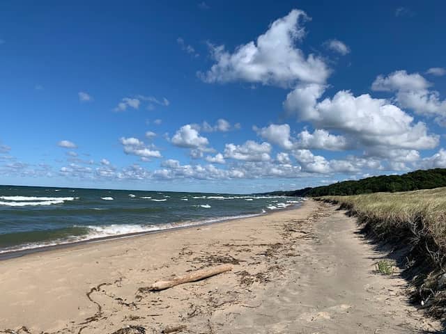 Saugatuck Dunes State Park - Image 1