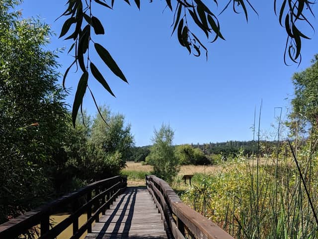 Anderson Marsh State Historic Park - Image 2