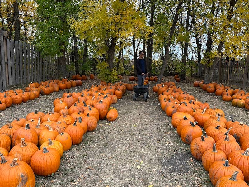Lil Bitz Pumpkin Patch - Image 1