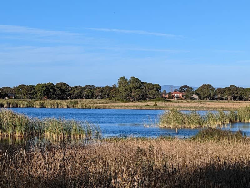 Edithvale and Seaford Wetland Lookout - Image 1